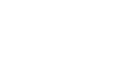 WayfinderX LLC Logo