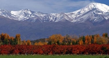 Cuyo Patagonia Argentina