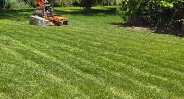 Lawn Maintenance company