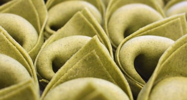tortelloni verdi di ricotta