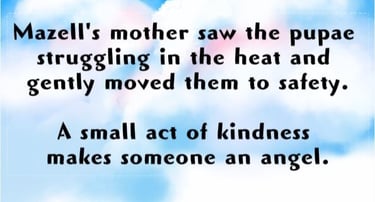 A small act of kindness makes someone an angel