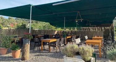 Botigis Grill Taverna Sinarades Villa Olivia Corfu