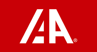 IAAI aukcionų logotipas – Automobilis iš Amerikos