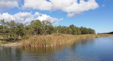 wunderschöne schwedische Seenlandschaft, im Hintergrund sind Schilf, Felsen und ein Wald zu sehen.
