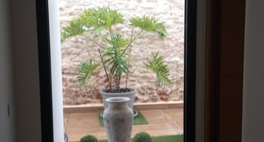 Ventana fija con plantas al fondo.
