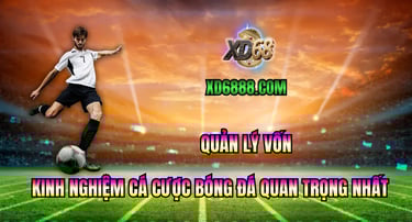 Kinh nghiệm cá cược bóng đá xd68 quản lý vốn hiệu quả