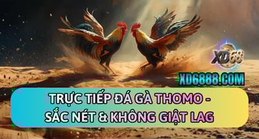 Xem trực tiếp đá gà thomo xd68 sắc nét tại XD6888.com