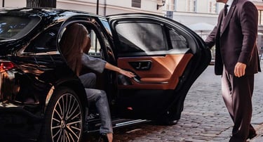 Bodrum Icmeler Chauffeur Service