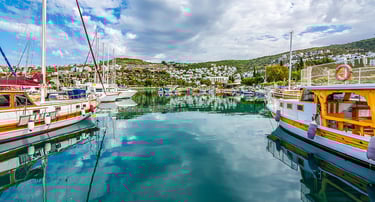 Gundogan Chauffeur Service