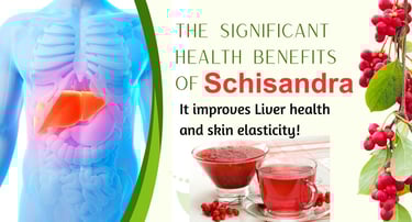 schisandra-tea