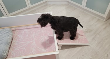 Trudi attend des bébés