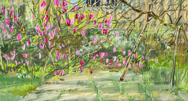 Yeoman's steps magnolia in bloom