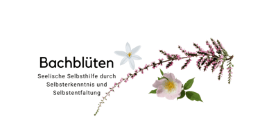 Bachblüten Selbsthilfe sanapendium