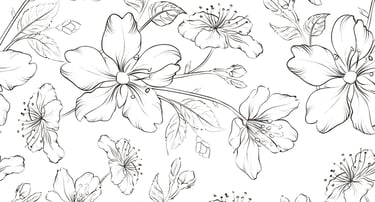 white flowers drawing
