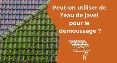 Peut-on utiliser de l’eau de javel pour le démoussage ?