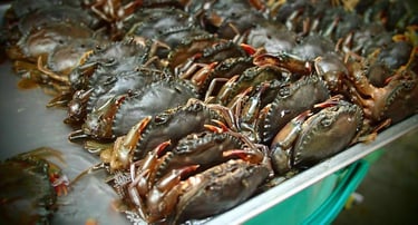 seafood supplier