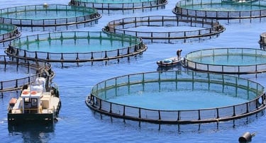 sustainable crab farming