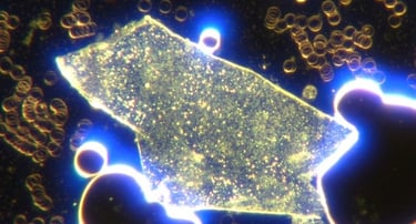 Image: Geometric hydrogel construction with multiple surrounding spherical construction sites.