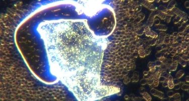 Image: spherical construction site that builds hydrogel with many micro robots included. Surrounding