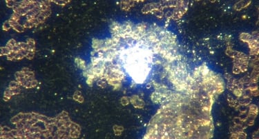 Image: different states of construction of solid hydrogel with red blood cells in rouleaux and oxida