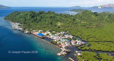 Bitaugan Houses in Surigao