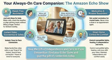 amazon echo infographic