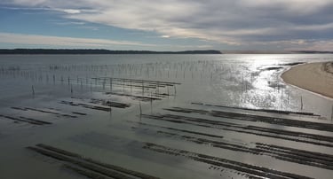 Vue aérienne des lits d'élevage d'huîtres et des poteaux en bois dans la baie d'Arcachon 