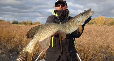 a angler holding a large pike in sweden