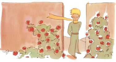 illustration du petit prince dans la roseraie