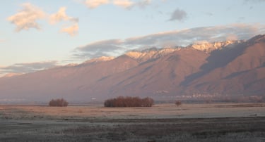 frozen grasses at lake kerkini and the snow at Belles mountain