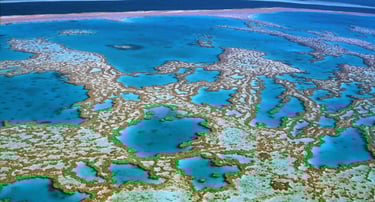tour grande barreira de coral cairns