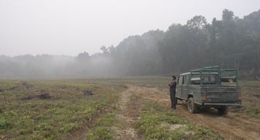 on the way to the village where the second fawn was found