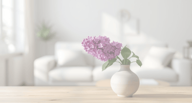 Lilac flower in a living room, in Princeton NJ, perfectly matches the simplelilac brand