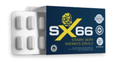 SX66