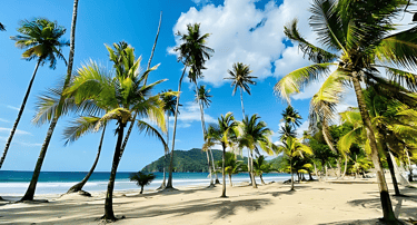 The beautiful Maracas beach