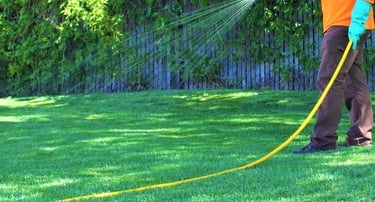 lawn fertilizer and weed control