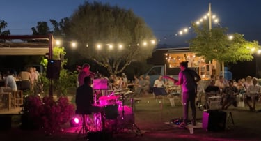 Concerts de Jazz Illa Músics Mallorca