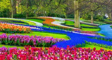 Parque de flores, De Keukenhof