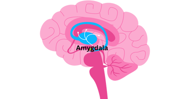 Empathy as Negotiation Tool