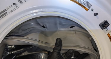 Front load washer boot gasket torn apart