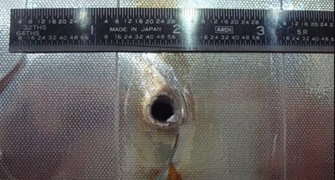 A space debris hit to space shuttle Endeavour’s radiator was found after one of its missions.