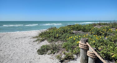 turtle beach on siesta key florida