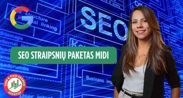 SEO straipsnių paketas MIDI