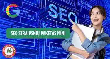 SEO straipsnių paketas MINI