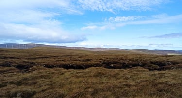 Peat peatland