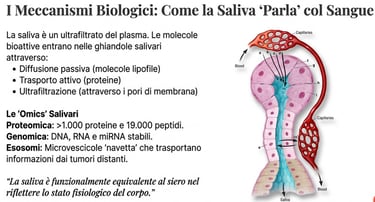 Come la Saliva parla con il Sangue