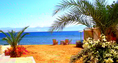 View of the beach flowers and sea at Bedouin star Ras shitan