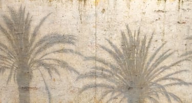 TURNING PALM SHADOWS 1 100 X 200