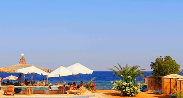 French Version: Groupe d'amis et famille en vacances au Bedouin Star avec piscine en Égypte