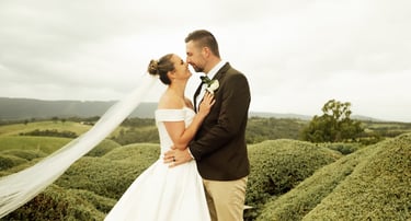 Bride and groom portrait in rolling hills countryside wedding natural light, vinery
